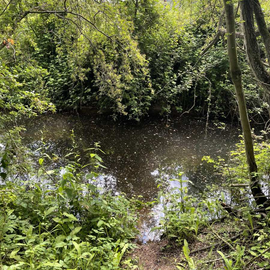 Kingfishers Bridge Nature Reserve