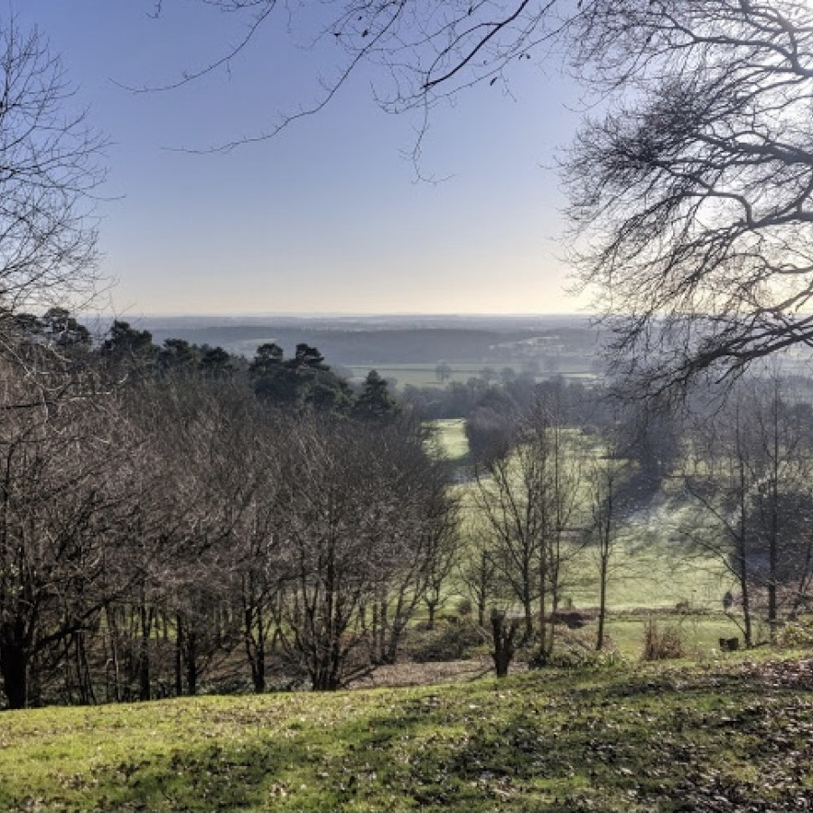 Deepdene trail