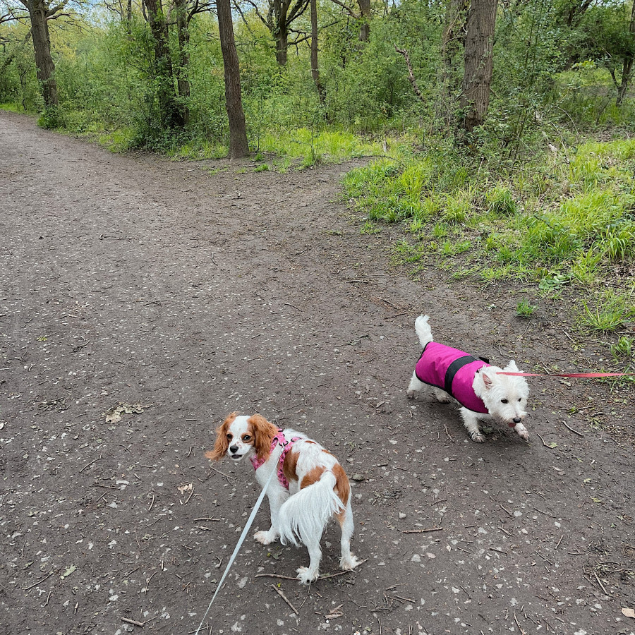 Nature trails