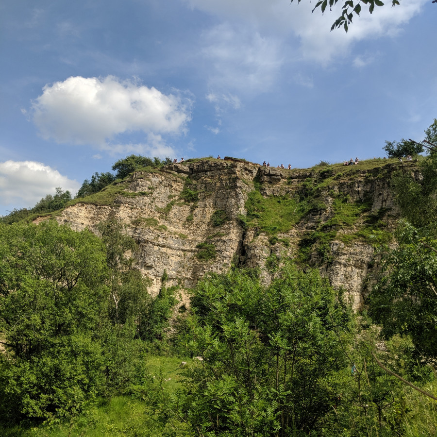 Leckhampton Hill