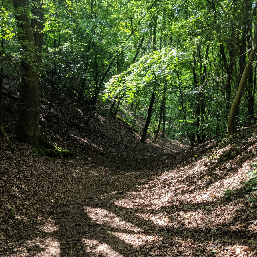 Leckhampton Hill