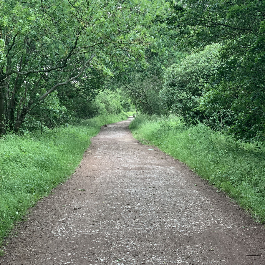 Cannock Chase