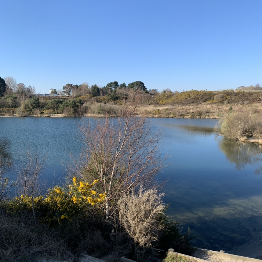 Lake Pier/Ham Common