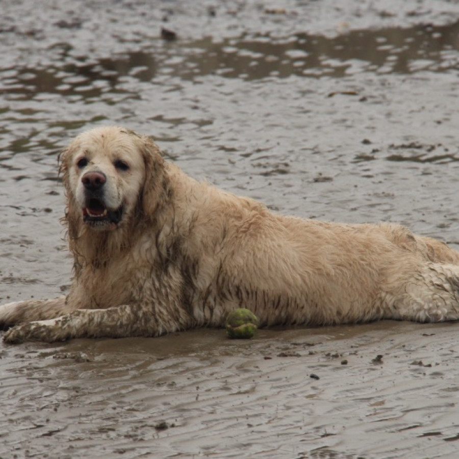 On the beach