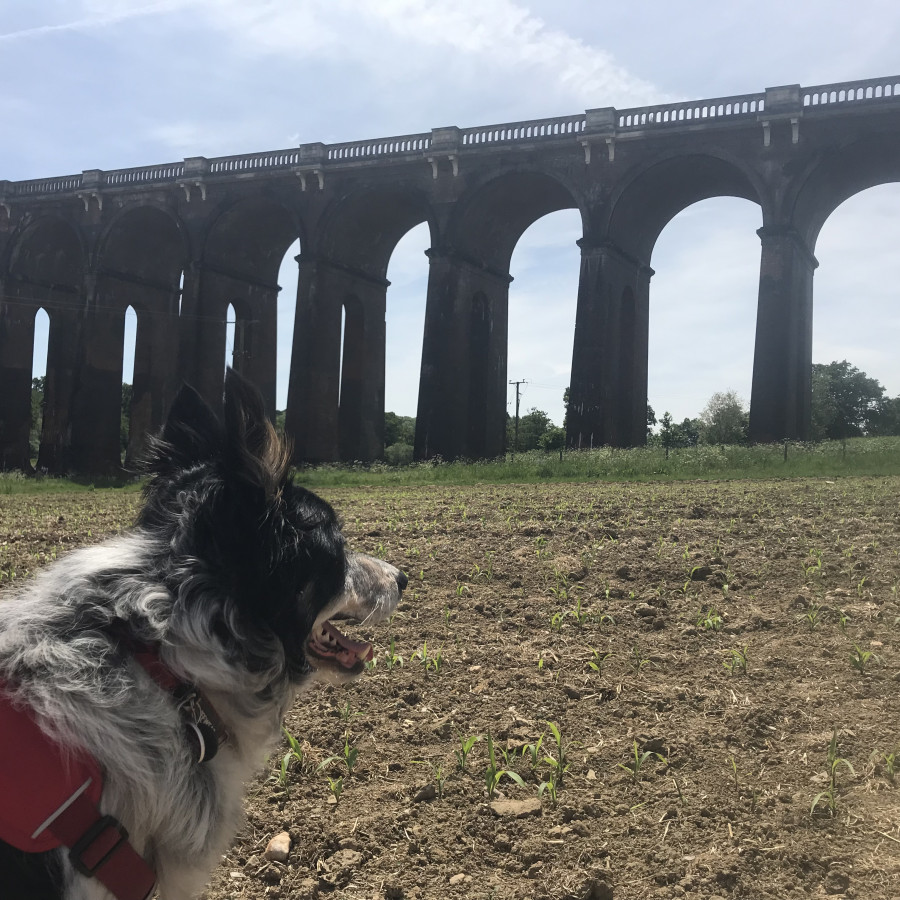 Ouse Valley Viaduct