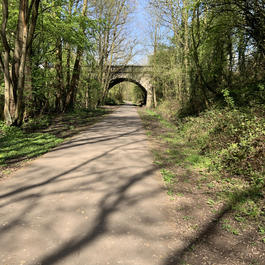 The first part of the track between The Avenue and Boggs Lane entrances in Starbeck