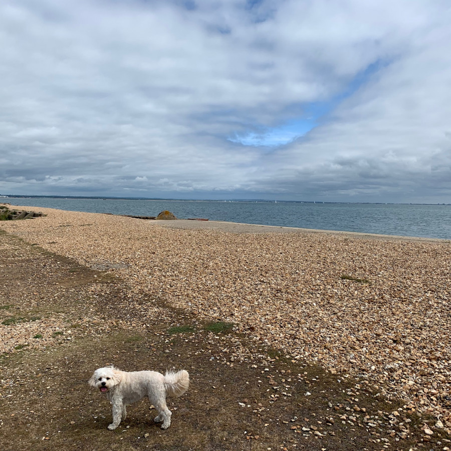 Lepe Beach And Country Park