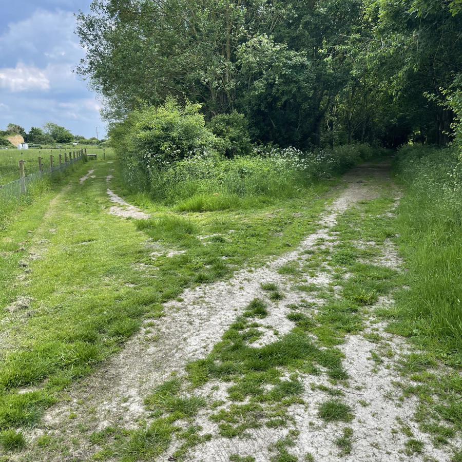 Kingfishers Bridge Nature Reserve