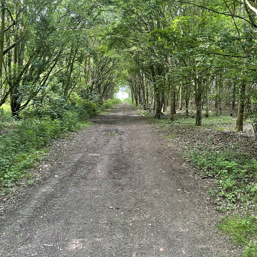 Kingfishers Bridge Nature Reserve