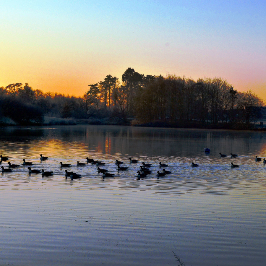 Sunset of Nantwich Lake