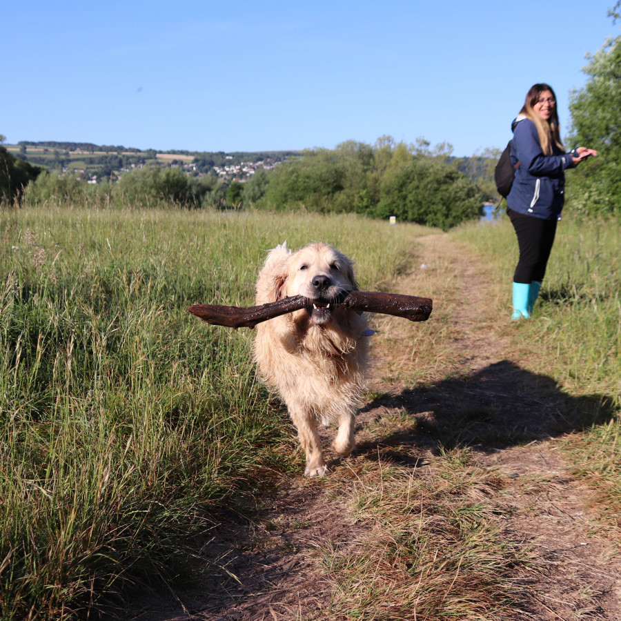 Blagdon Lake - Super Loop