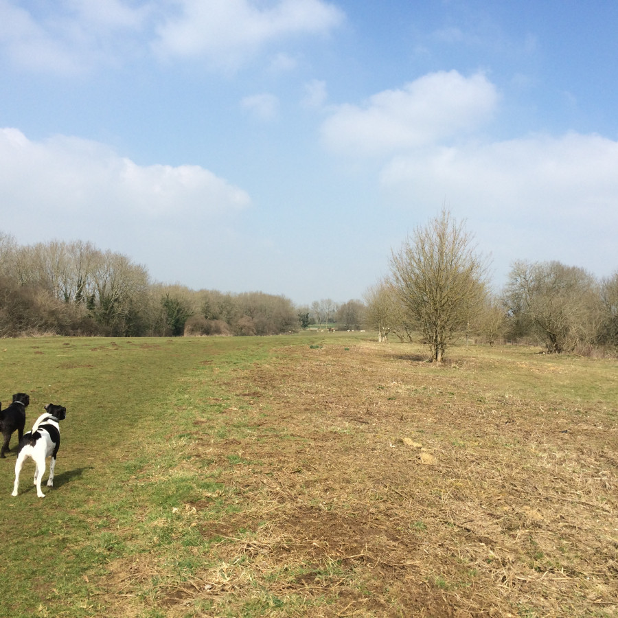 Bannerdown Common