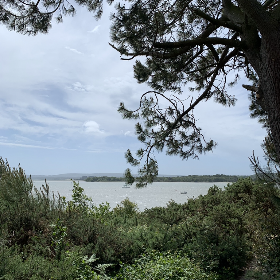 Lake Pier/Ham Common