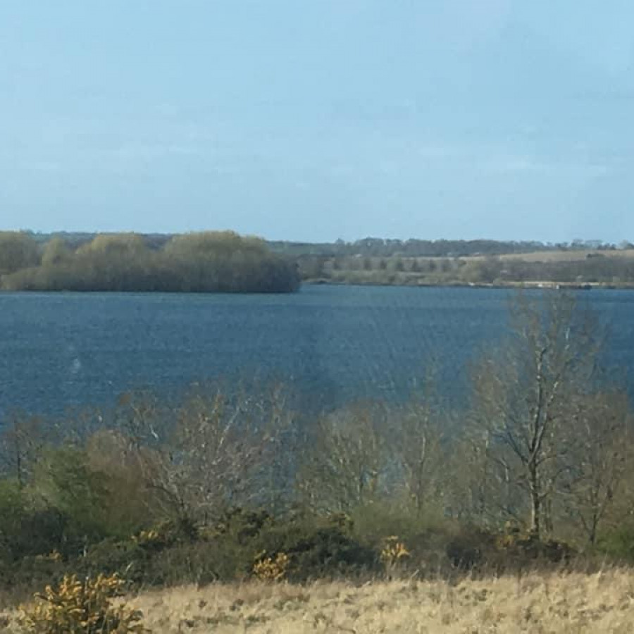 View of Rutland Water between Manton Bay and Lyndon Visitor Centre