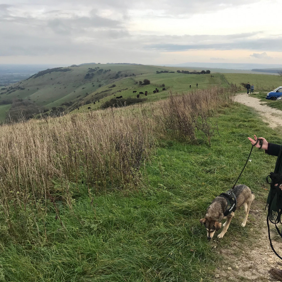 Ditchling Beacon