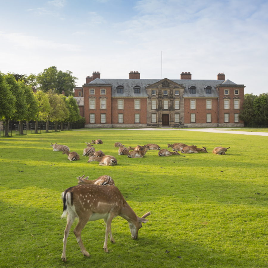 Dunham Massey