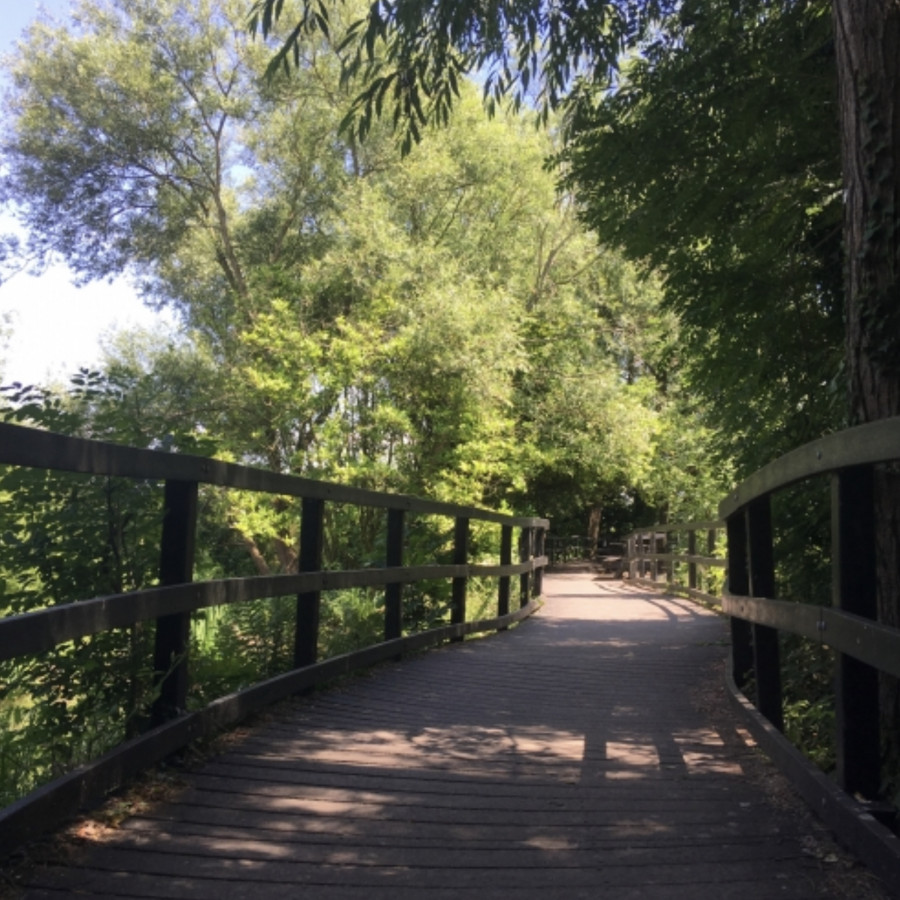 Board walk / Decked area