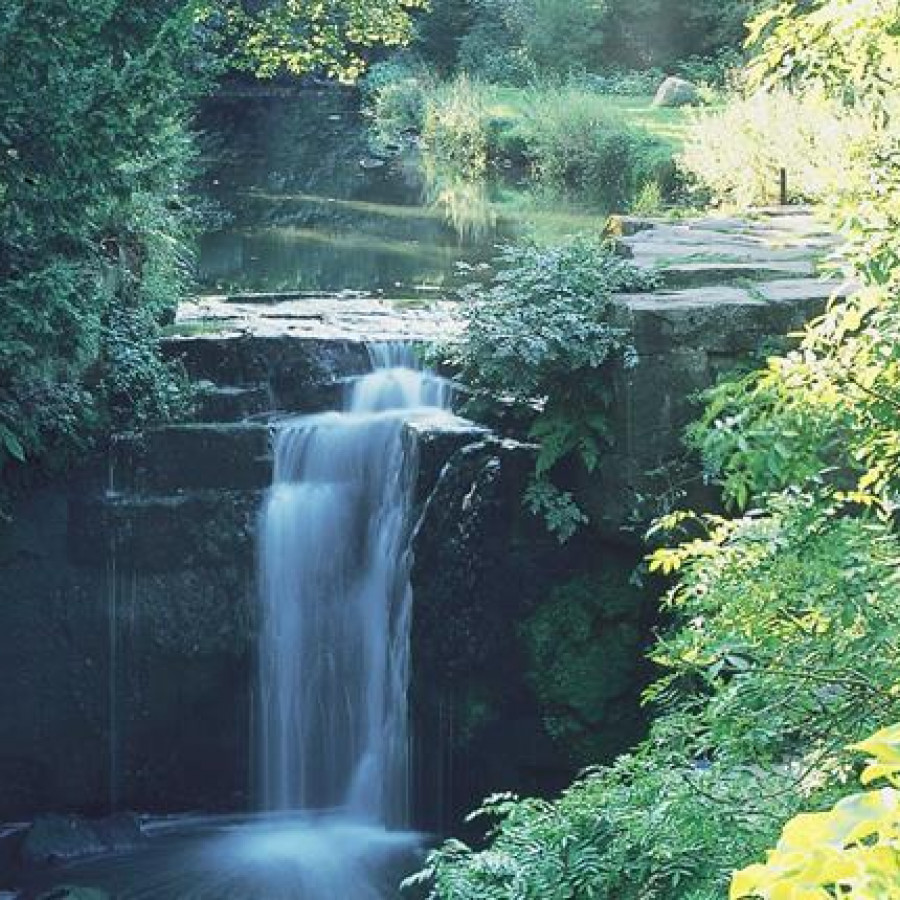 Jesmond Dene