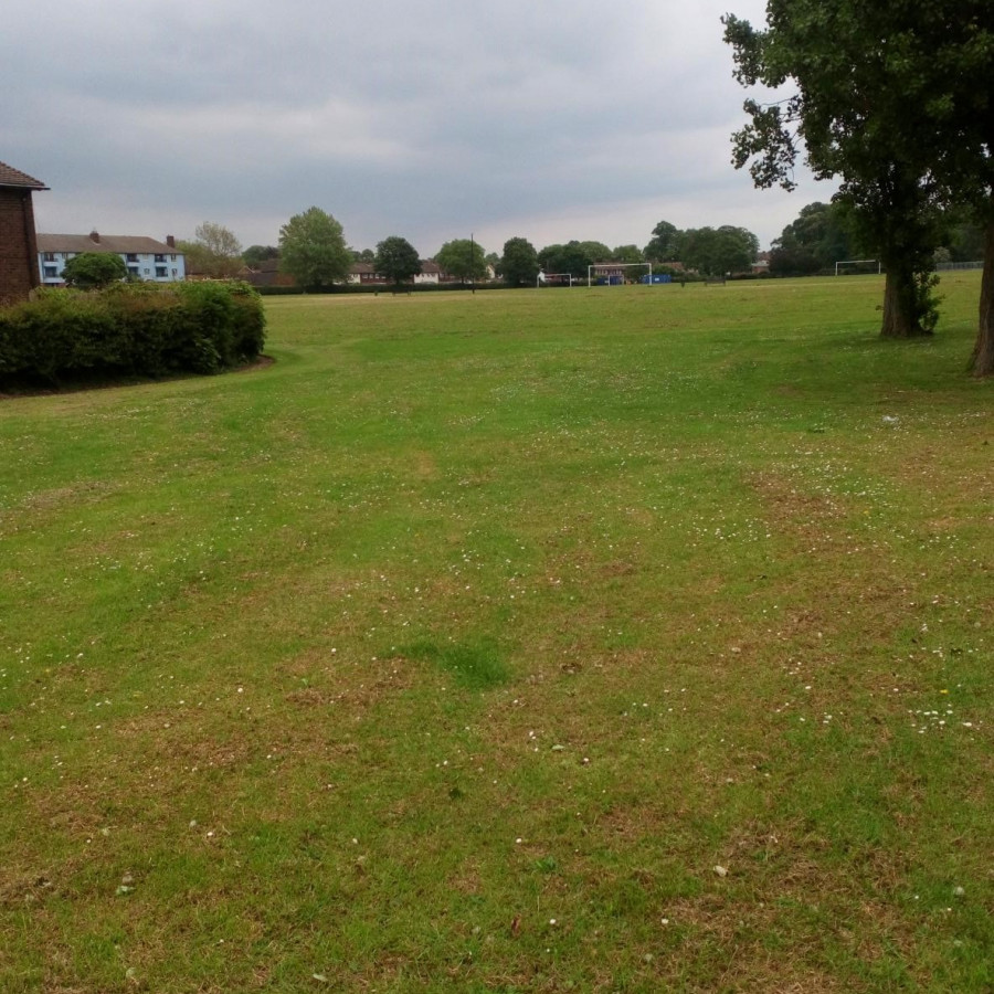 Field from leftmost entrance on London Road side