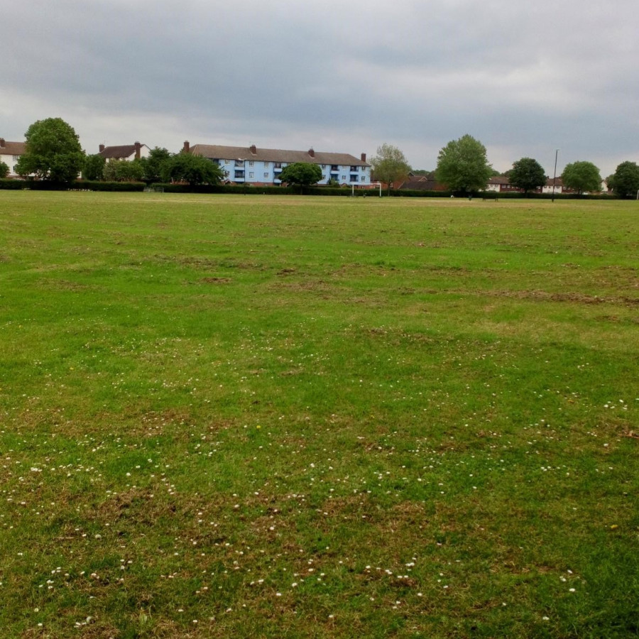 View of the fields