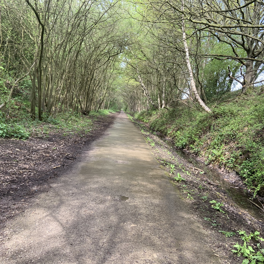 Part of the Starbeck end of the track. Spring 2019