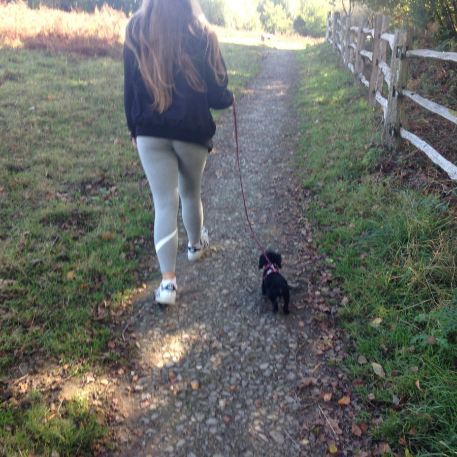 Footpath Ditchling Common