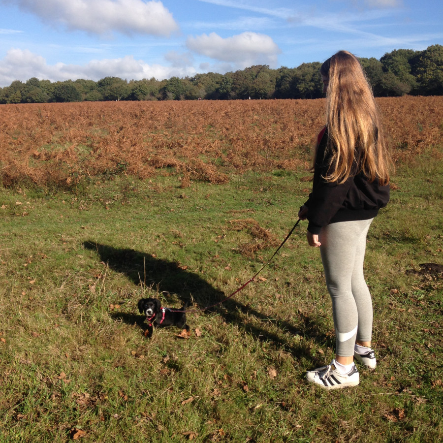 Ditchling Common Walk
