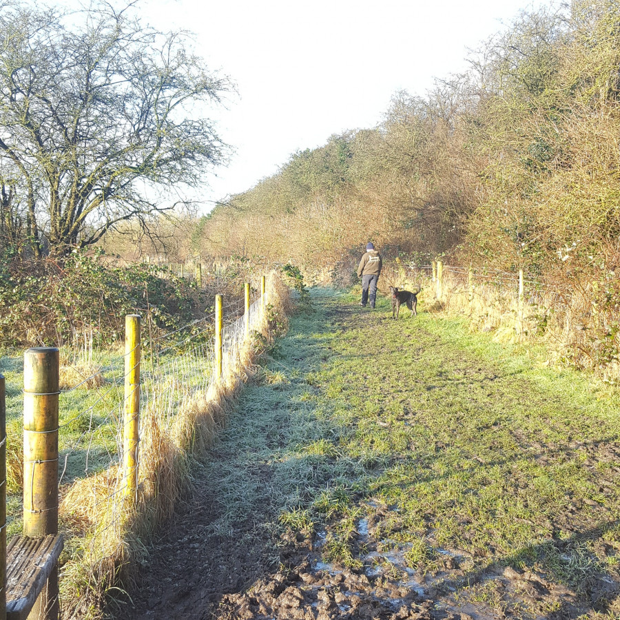 Walking the boundary