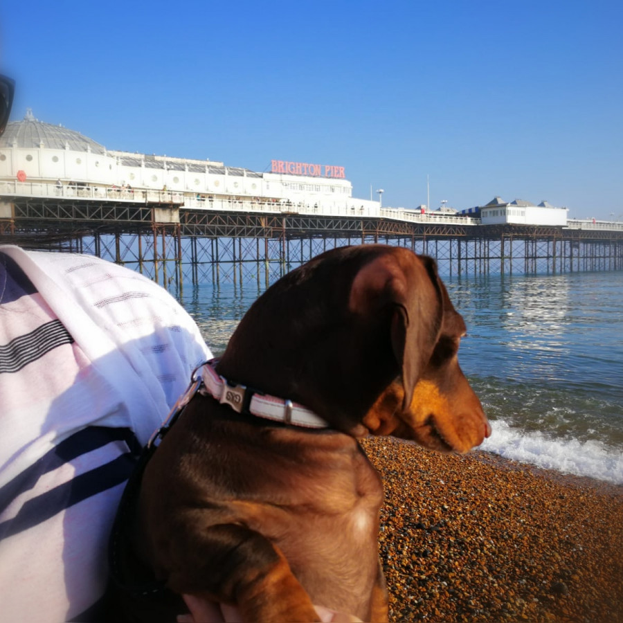 Brighton Sea Front