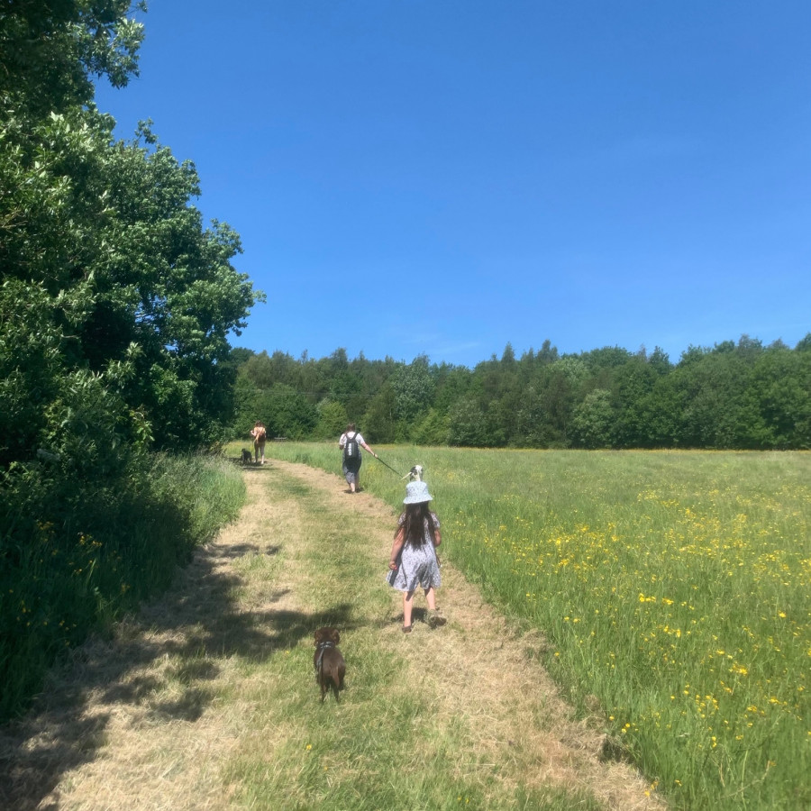 Oakthorpe Colliery and picnic site