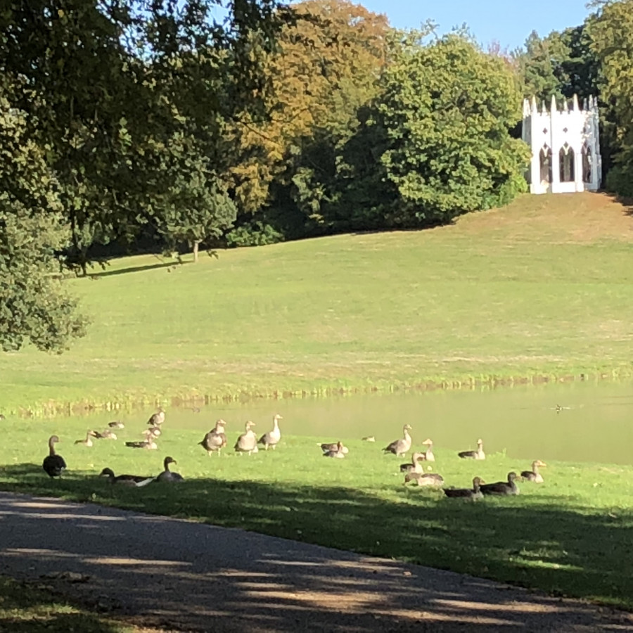 Painshill Park