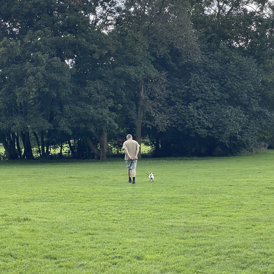 All flat fields for dog to walk