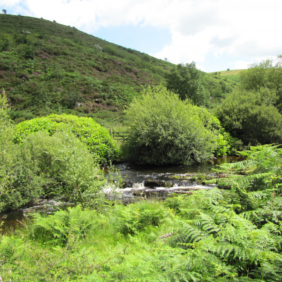 Badgworthy Water, Malmsmead, Exmoor