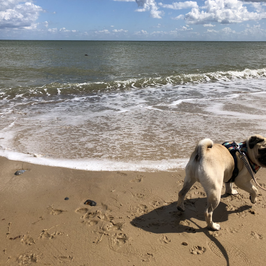 Horsey Beach