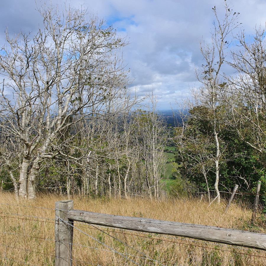 Chanctonbury ring