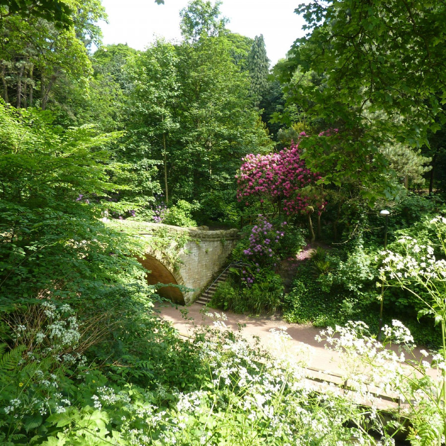 Jesmond Dene