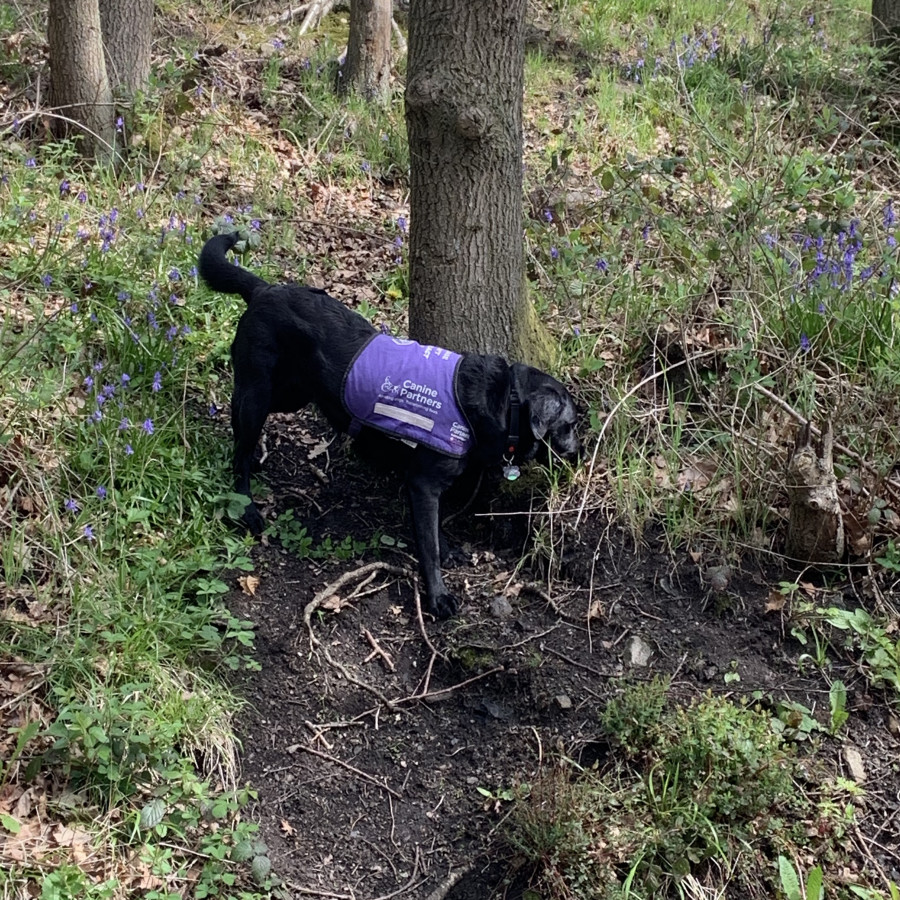 Lexi enjoying exploring the area