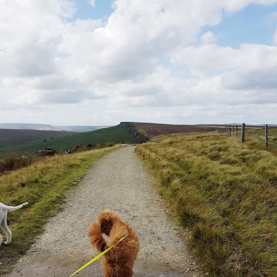 Stanage Pole