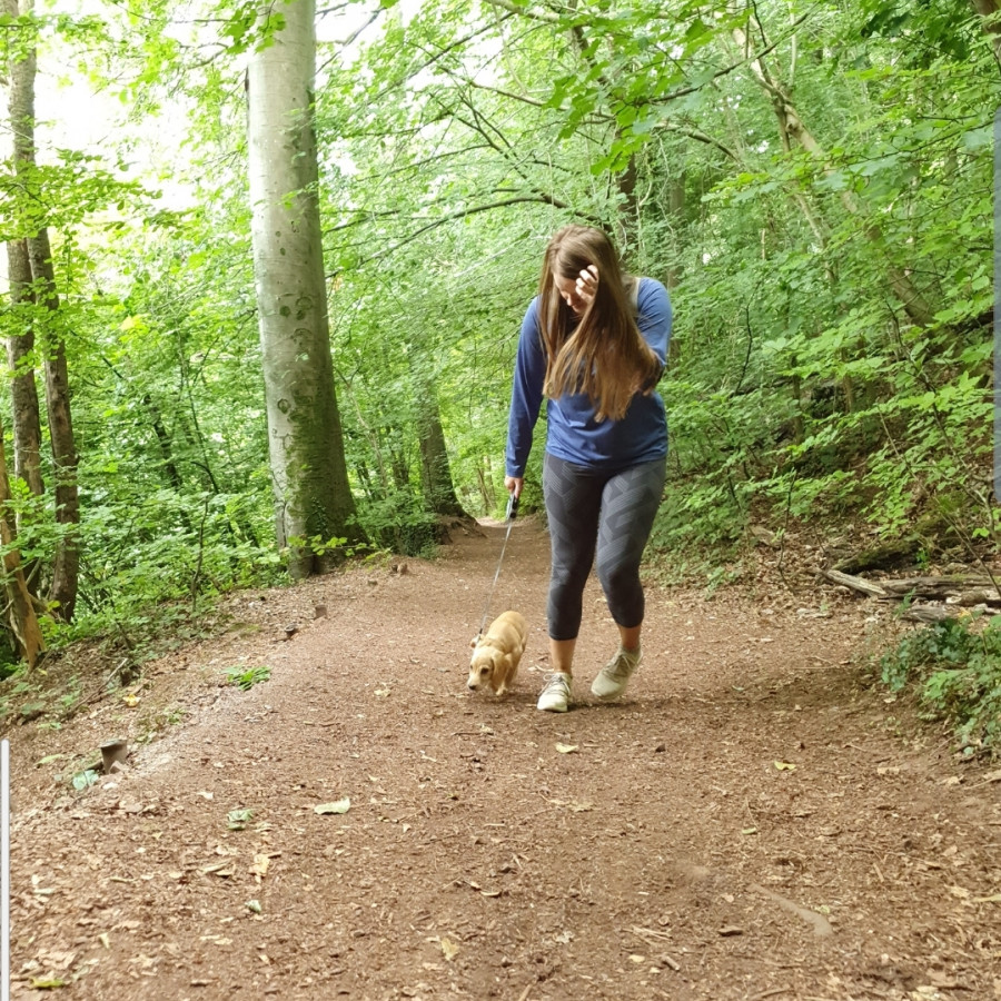 Castell Coch