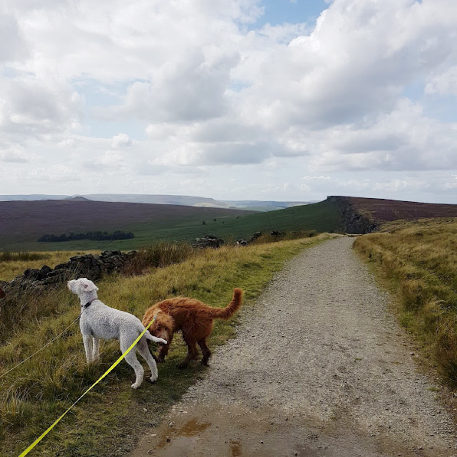 Stanage Pole