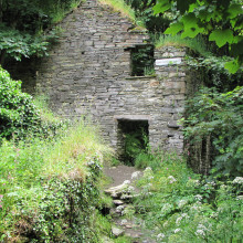 Trevillett Mill Ruins