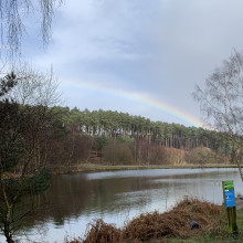 Cannock Chase