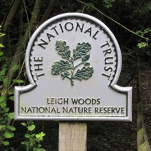 Leigh Woods