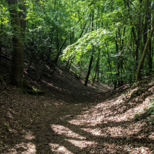 Leckhampton Hill