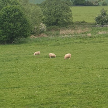 Spofforth-Sicklinghall