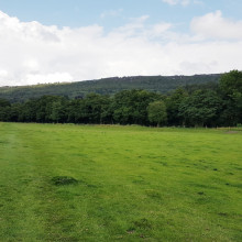 Calver Froggatt Loop