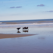 Mundesley Beach