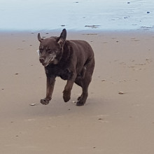 Mundesley Beach