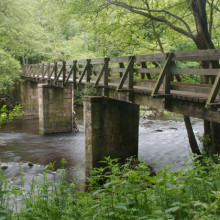 Knaresborough, Nidd Gorge & Old Bilton Circular