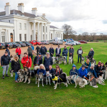 Husky walk!